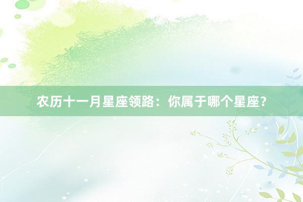 农历十一月星座领路：你属于哪个星座？